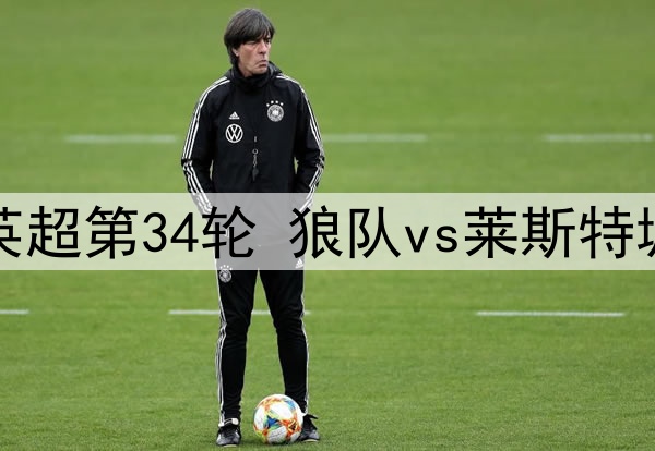 04月27日 英超第34轮 狼队vs莱斯特城 全场录像