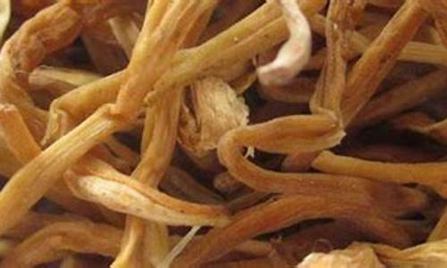 产后什么时候可以吃花胶海参-产妇什么时候可以吃花胶汤了