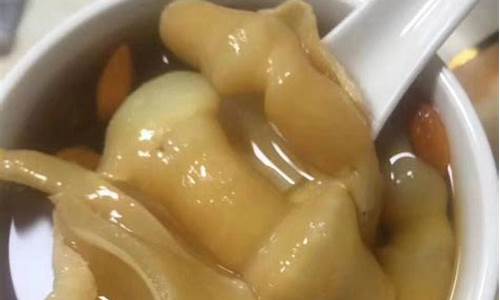 花胶怎样炖吃效果最好-怎样炖花胶汤最好吃