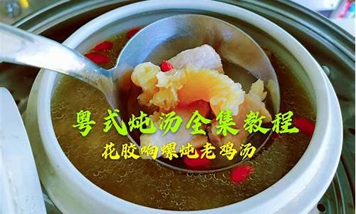 响螺片花胶煲鸡汤功效-响螺花胶汤的功效