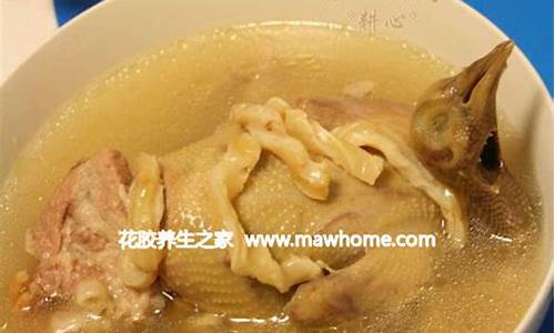 鸽子花胶汤的做法与功效窍门-鸽子花胶汤的做法与功效