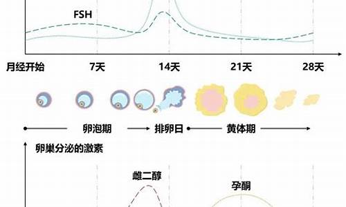 月经期间可以喝花胶煲鸡汤吗?-月经第6天可以喝花胶汤吗