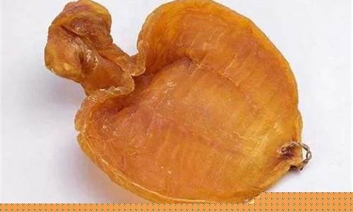 鱼翅花胶汤哪些人不宜食用-鱼翅花胶汤图片大全